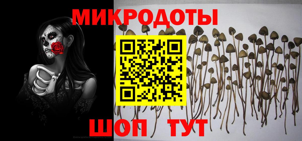 Псилоцибиновые грибы мицелий Полысаево