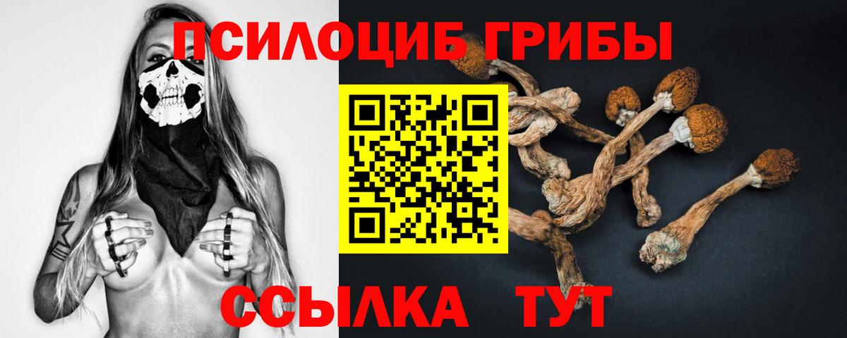 Псилоцибиновые грибы прущие грибы  дарнет шоп  Вход с VPN  Полысаево  Псилоцибиновые грибы мухоморы 