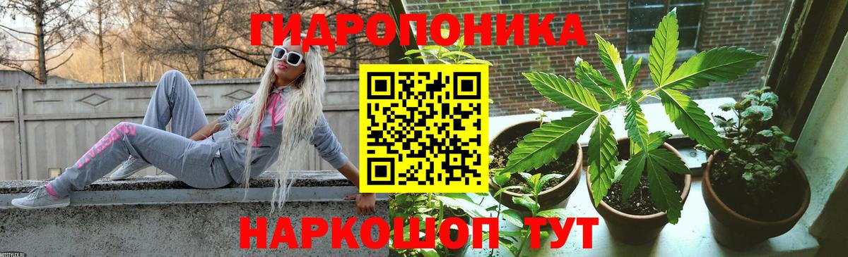 Бошки Шишки марихуана  МАРИХУАНА гибрид  Полысаево  Вход с VPN  Бошки марихуана LSD WEED  Каннабис сатива 